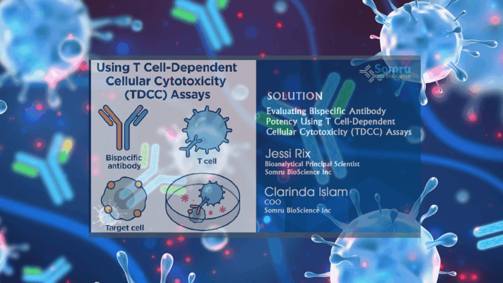 Evaluating Bispecific Antibody Potency with TDCC Assays
