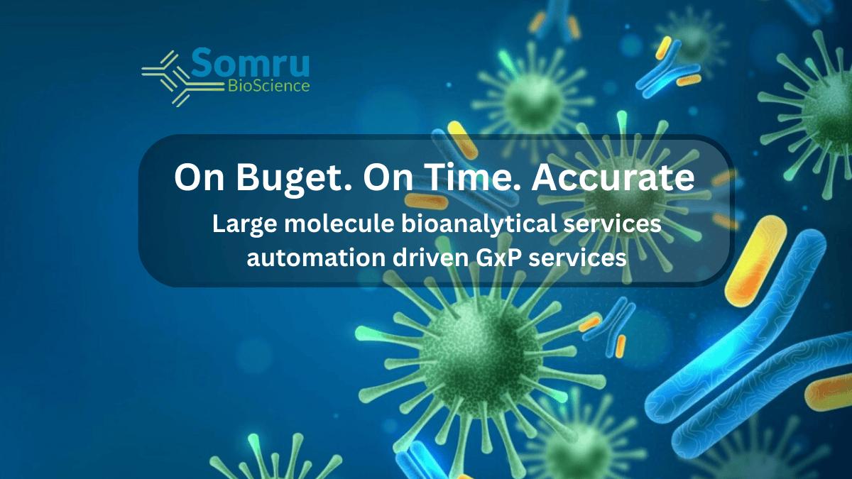Large molecule bioanalytical services